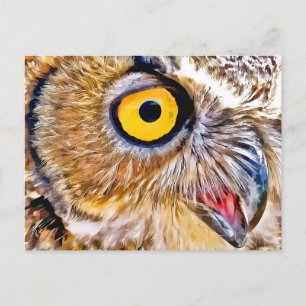 Owl Eye Postcard