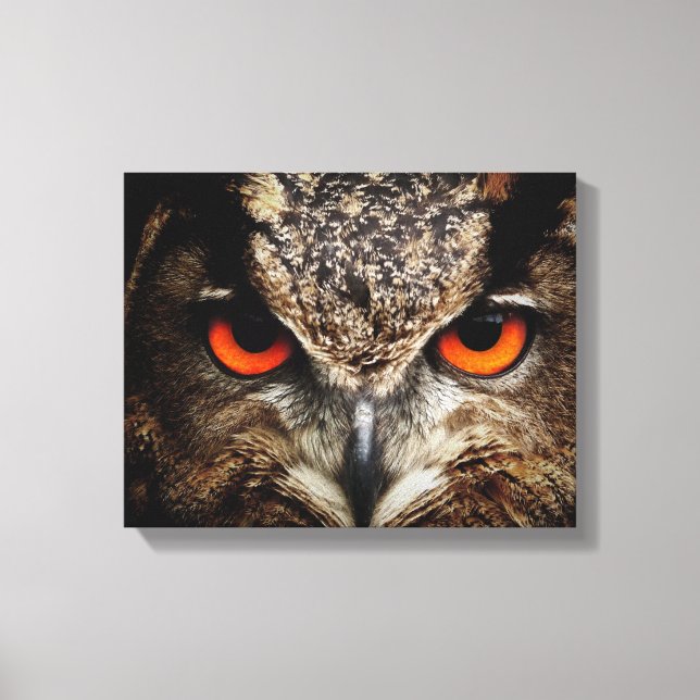 Owl eyes canvas print (Front)