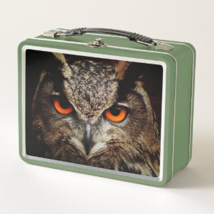 Owl eyes metal lunch box