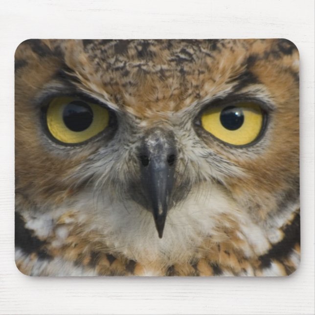 Owl Eyes Mouse Pad (Front)