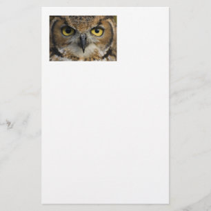 Owl Eyes Stationery