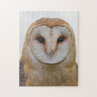 Owl Face Bird Wildlife Jigsaw Puzzle