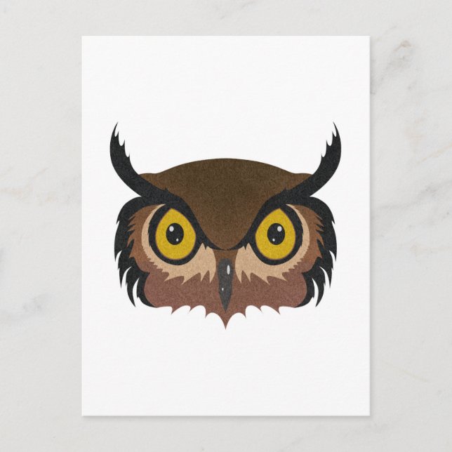 Owl Face Postcard (Front)