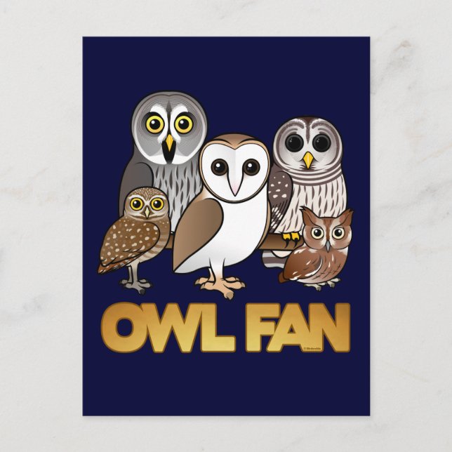 Owl Fan Postcard (Front)