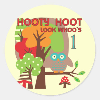 Owl First Birthday T-shirts and Gifts Classic Round Sticker