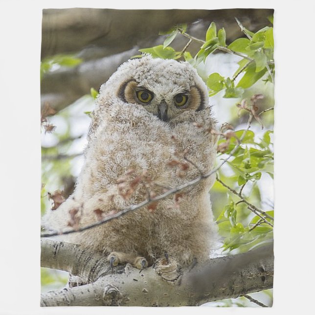 Owl Fleece Blanket (Front)