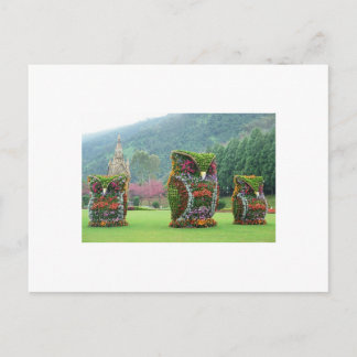 owl flower statues postcard