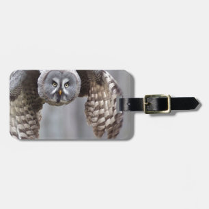 owl flying animal feathers bird park forest birds luggage tag