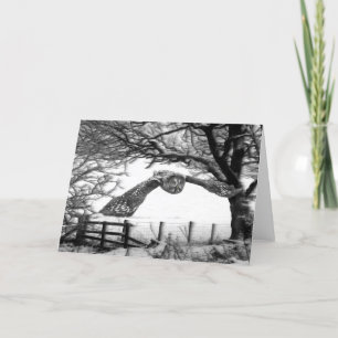 Owl flying in the snow holiday card