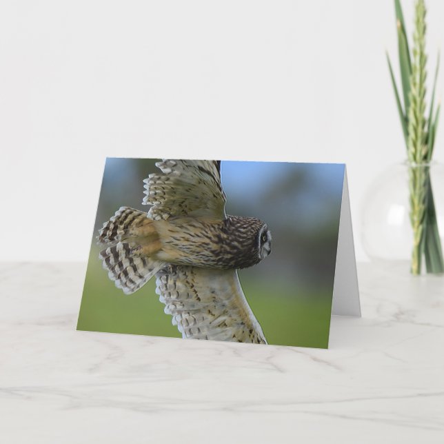 Owl Flying Over Card (Front)