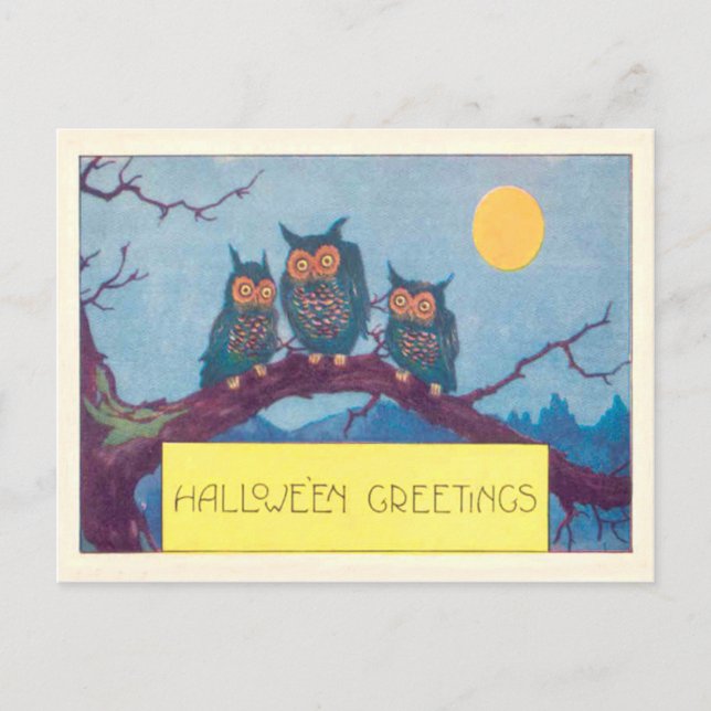 Owl Full Moon Tree Postcard (Front)