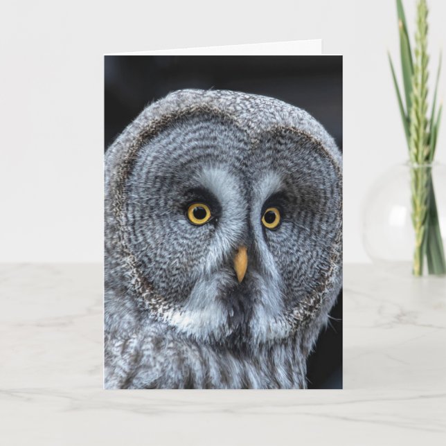OWL FUNNY CUTE BIRTHDAY CARD (Front)