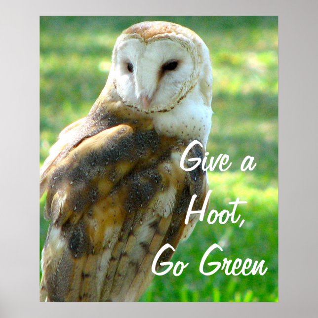 Owl Give A Hoot Poster (Front)