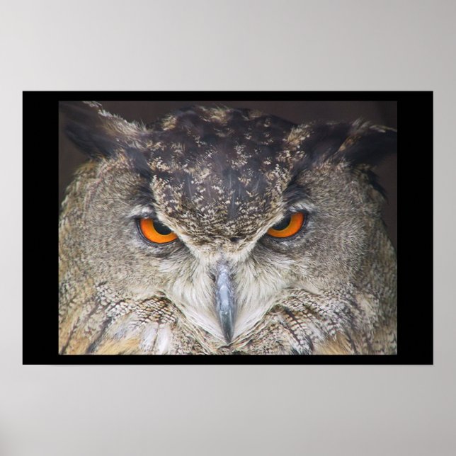 Owl head poster (Front)
