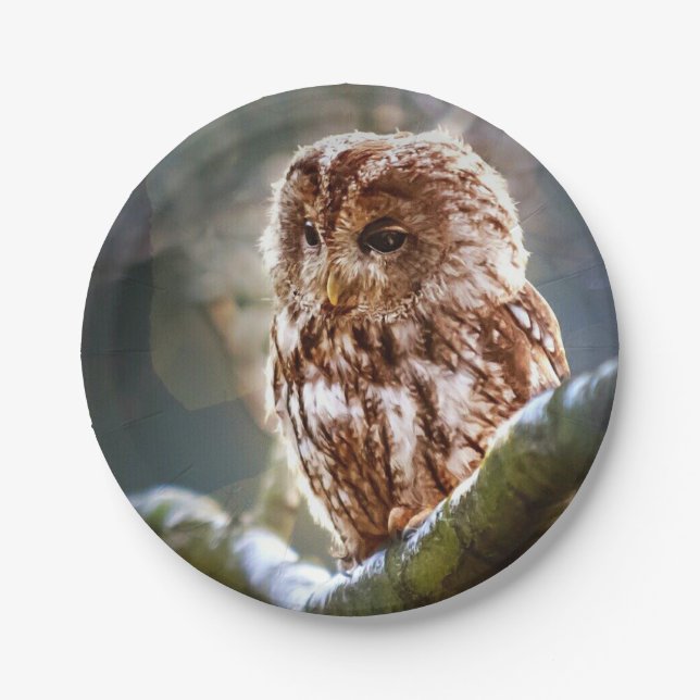 Owl Hoo Paper Plate (Front)