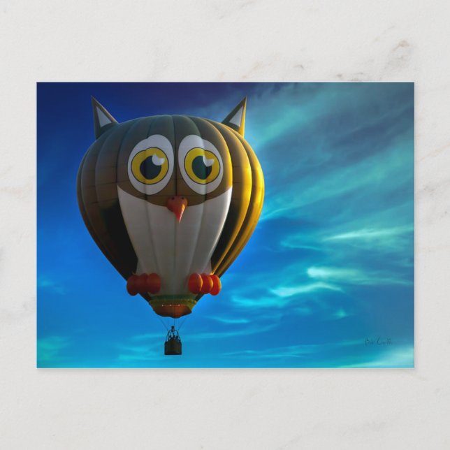 Owl Hot Air Balloon Postcard (Front)