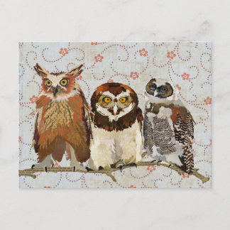 OWL IN A ROW Postcard