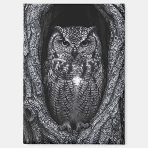 Owl in a Tree Hollow Black and White Magnet