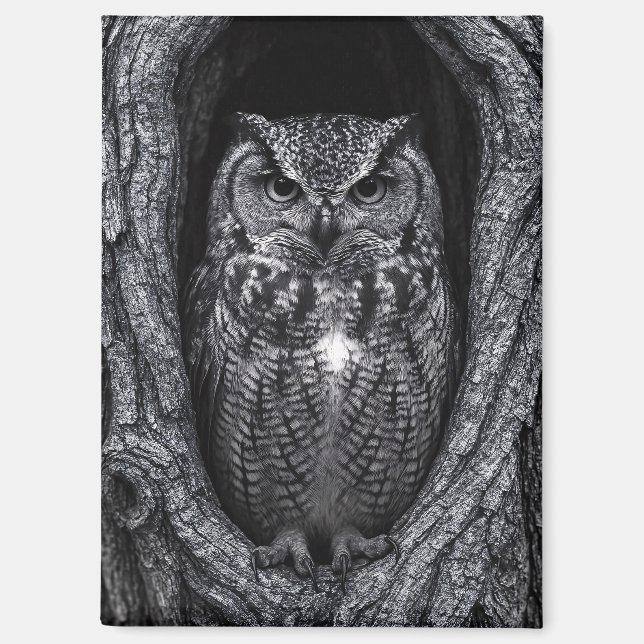 Owl in a Tree Hollow Black and White Magnet (Front)