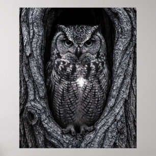 Owl in a Tree Hollow Black and White Poster