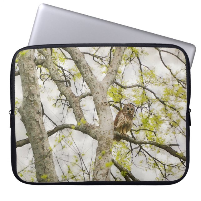 Owl in a Tree Nature Art Laptop Cover (Front)