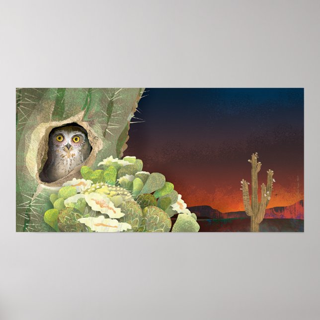 owl in cactus - Poster (Front)
