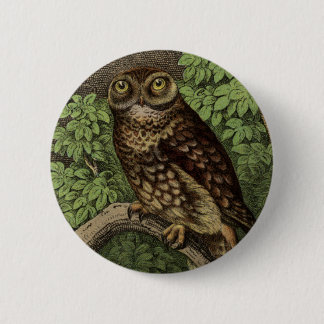 Owl in Leaves Button