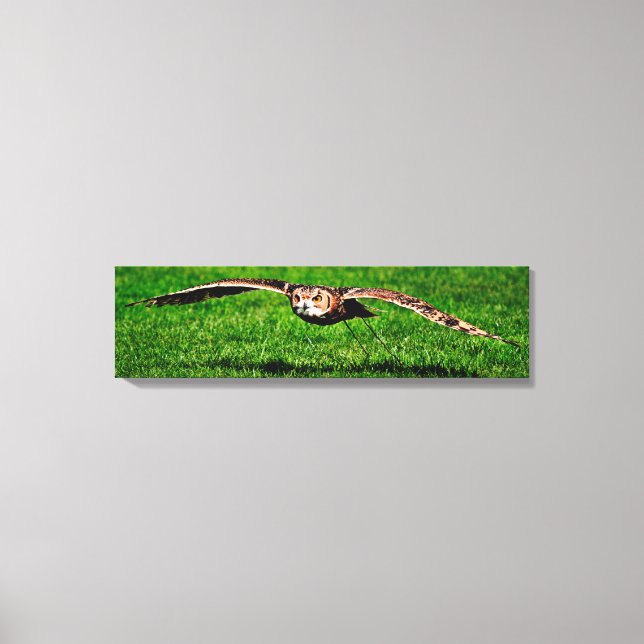 Owl In Liftoff Closeup Panoramic Canvas Print (Front)