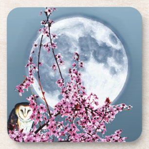 Owl in Plum Tree Coaster