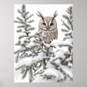 Owl in Snow Poster