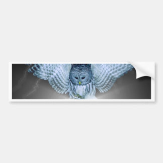 OWL in the DARK Bumper Sticker