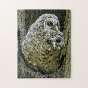 Owl In The Family Jigsaw Puzzle