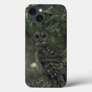 Owl In The Forest IPhone Cases