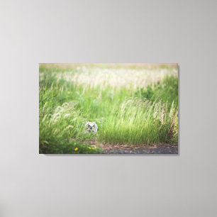 Owl In The Grass Canvas Print