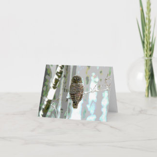 Owl In The Snow Card