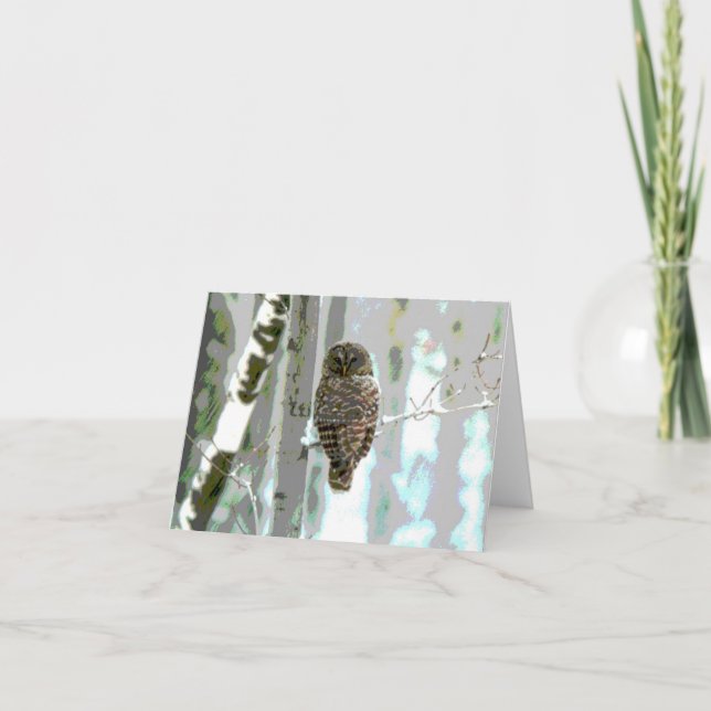 Owl In The Snow Card (Front)