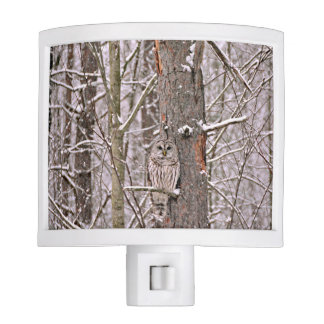 Owl In The Snow Night Lites