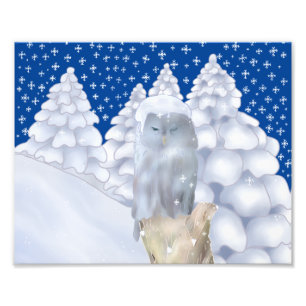 owl in the snow photo print