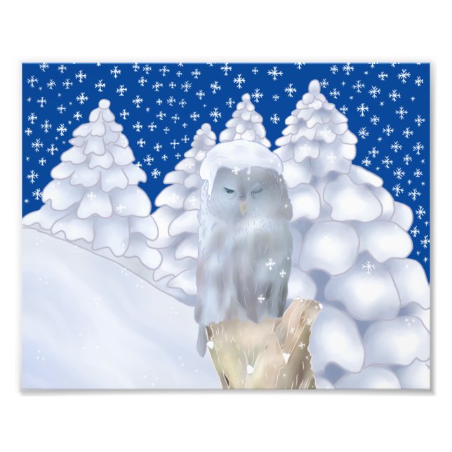 owl in the snow photo print (Front)