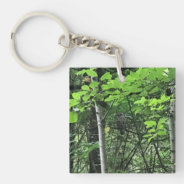 Owl in the Trees, Oregon Key Ring (Front)