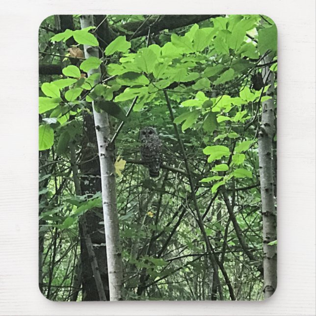 Owl in the Trees, Oregon Mouse Pad (Front)