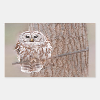 Owl in Tree Nature Bird Add Text Rectangular Sticker