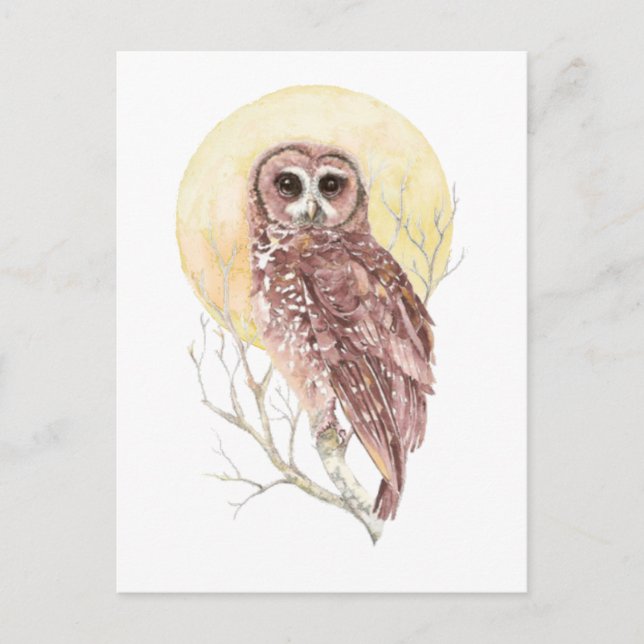 Owl in Tree with Moon Watercolor Bird, Animal Postcard (Front)