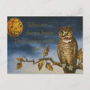 Owl Jack O Lantern Pumpkin Postcard