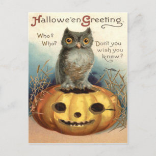 Owl Jack O Lantern Pumpkin Postcard