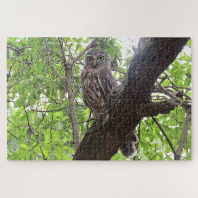 owl jigsaw puzzle (Horizontal)