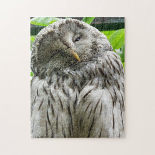 OWL JIGSAW PUZZLE