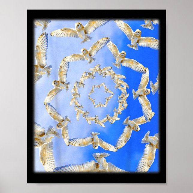 Owl Kaleidoscope Poster (Front)