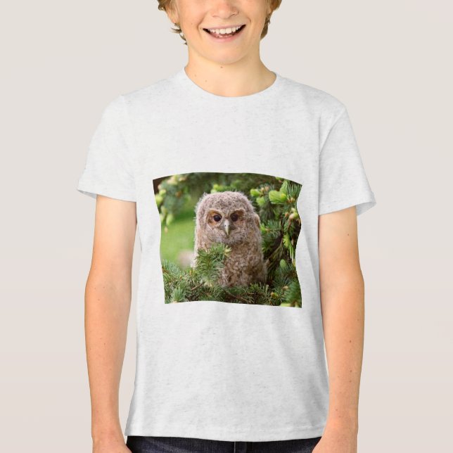Owl kinds 11 Tri-Blend shirt (Front)