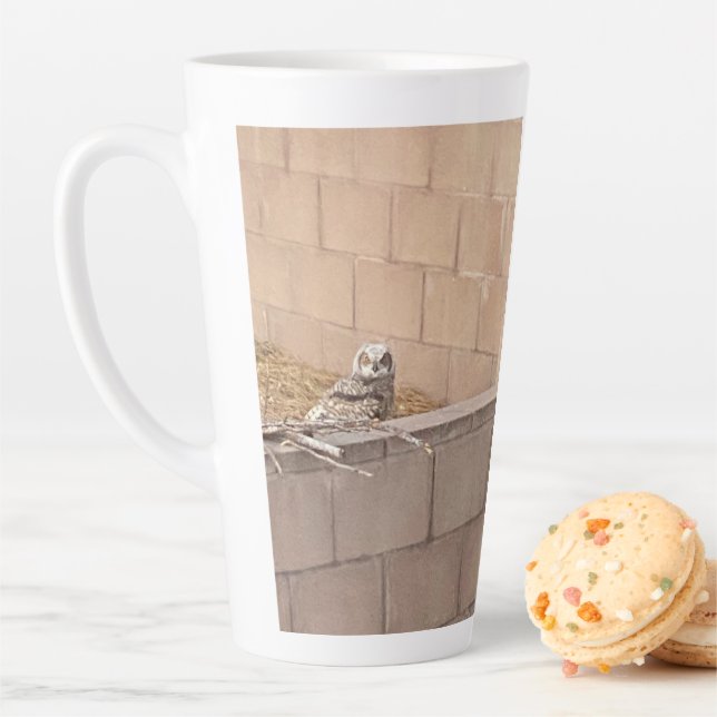 Owl 🦉  latte mug (In Situ)